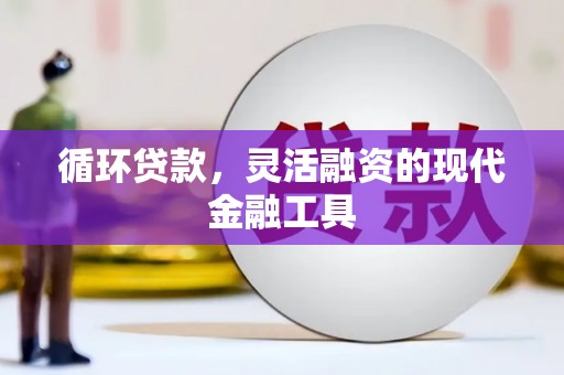 衡东循环贷款，灵活融资的现代金融工具