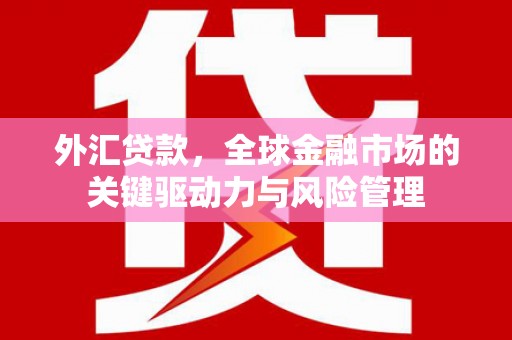 衡东外汇贷款，全球金融市场的关键驱动力与风险管理