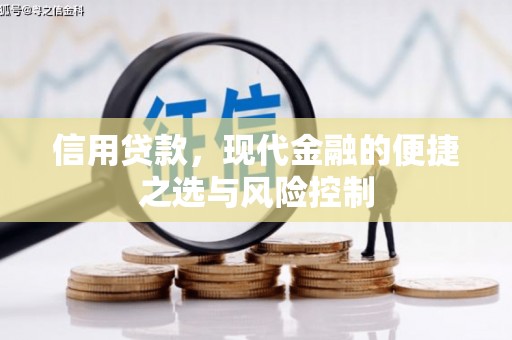 衡东信用贷款，现代金融的便捷之选与风险控制
