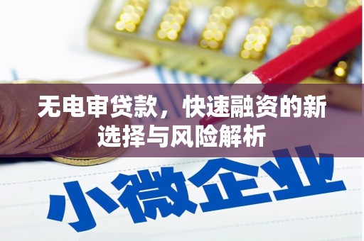 衡东无电审贷款，快速融资的新选择与风险解析