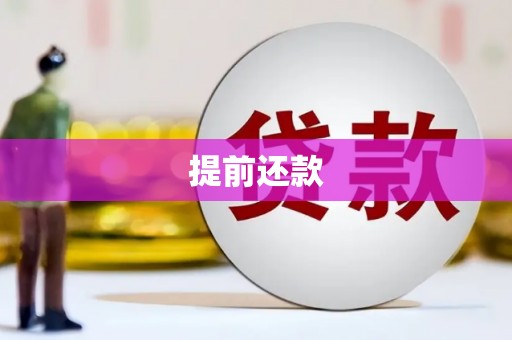 衡东提前还款