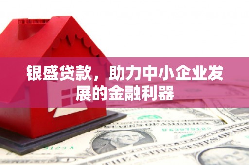 衡东银盛贷款，助力中小企业发展的金融利器