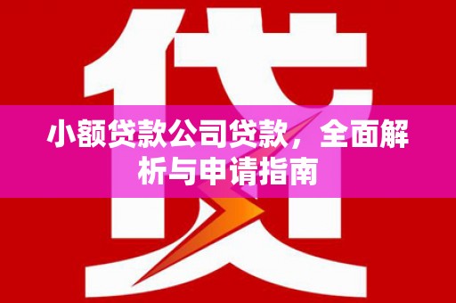 衡东小额贷款公司贷款，全面解析与申请指南