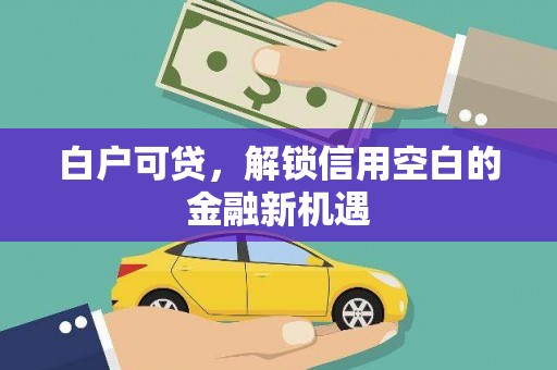 衡东白户可贷，解锁信用空白的金融新机遇