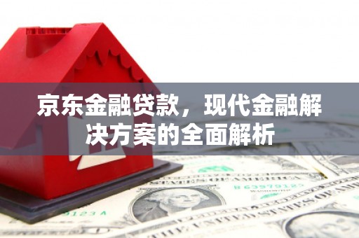 衡东京东金融贷款，现代金融解决方案的全面解析