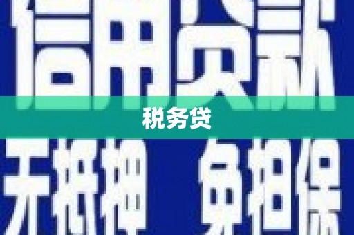 衡东税务贷