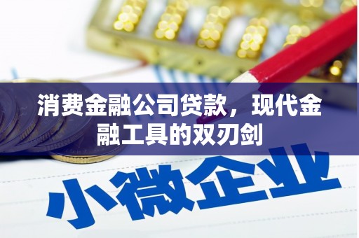 衡东消费金融公司贷款，现代金融工具的双刃剑