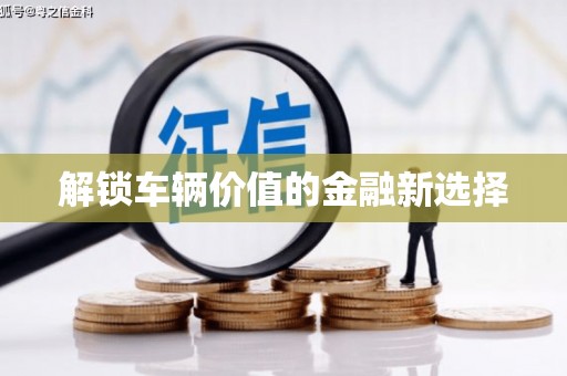 衡东解锁车辆价值的金融新选择