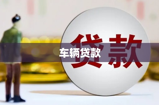 衡东车辆贷款