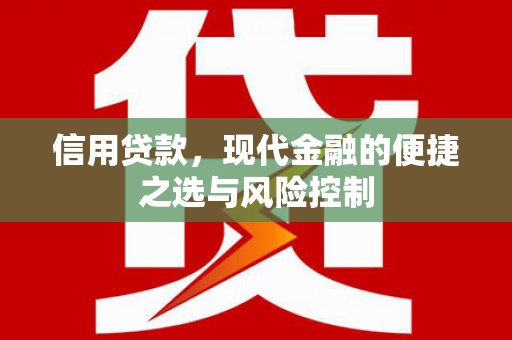 衡东信用贷款，现代金融的便捷之选与风险控制