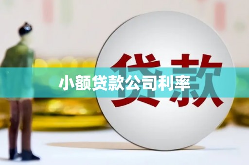 衡东小额贷款公司利率