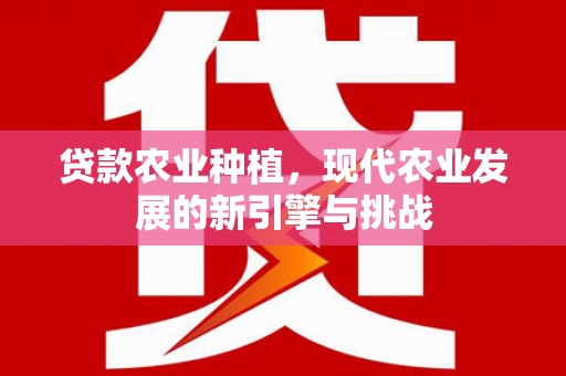 衡东贷款农业种植，现代农业发展的新引擎与挑战
