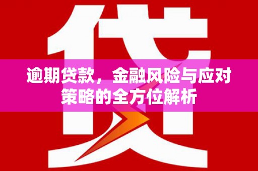 衡东逾期贷款，金融风险与应对策略的全方位解析