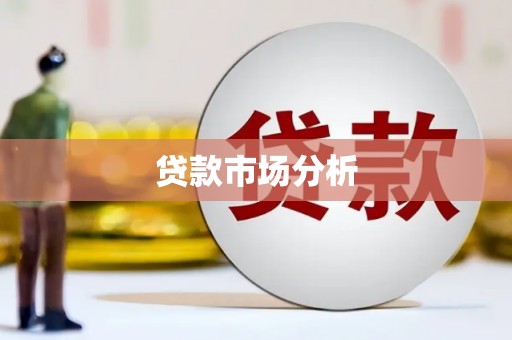 衡东贷款市场分析