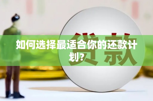 衡东如何选择最适合你的还款计划？