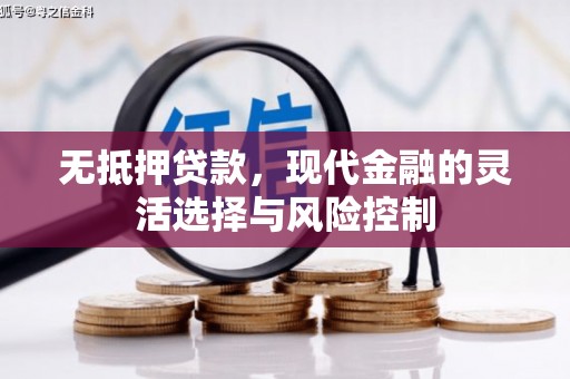 衡东无抵押贷款，现代金融的灵活选择与风险控制