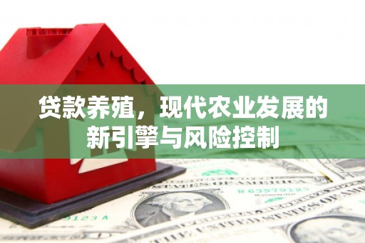 衡东贷款养殖，现代农业发展的新引擎与风险控制