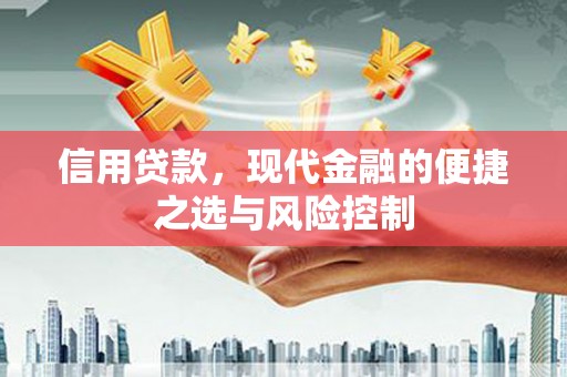 衡东信用贷款，现代金融的便捷之选与风险控制