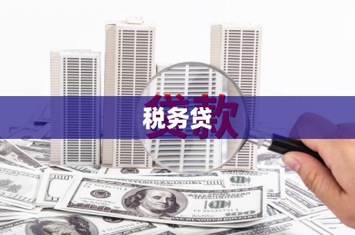衡东税务贷