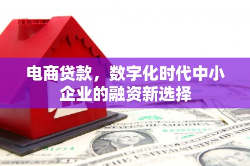 衡东电商贷款，数字化时代中小企业的融资新选择