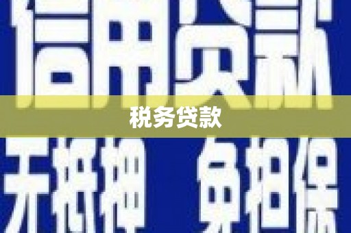 衡东税务贷款