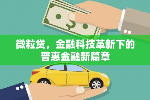 衡东微粒贷，金融科技革新下的普惠金融新篇章