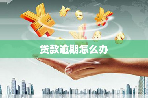 衡东贷款逾期怎么办