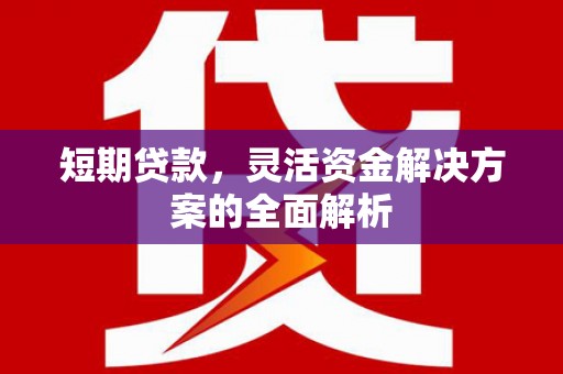 衡东短期贷款，灵活资金解决方案的全面解析