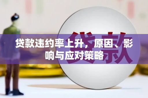 衡东贷款违约率上升，原因、影响与应对策略