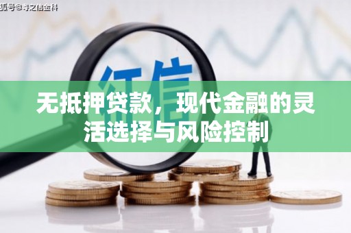 衡东无抵押贷款，现代金融的灵活选择与风险控制