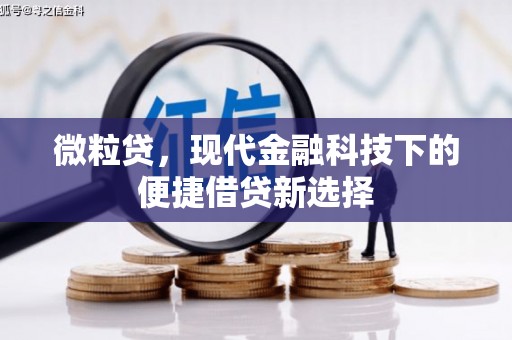 衡东微粒贷，现代金融科技下的便捷借贷新选择
