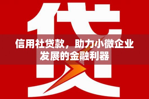 衡东信用社贷款，助力小微企业发展的金融利器