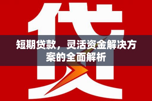 衡东短期贷款，灵活资金解决方案的全面解析
