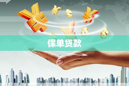 衡东保单贷款