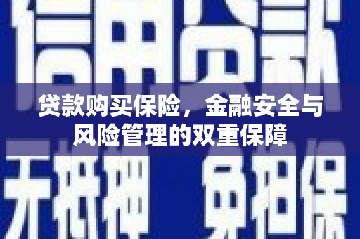 衡东贷款购买保险，金融安全与风险管理的双重保障