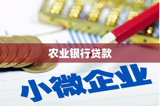 衡东农业银行贷款