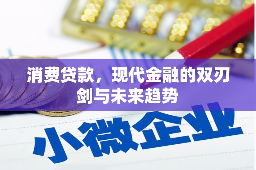 衡东消费贷款，现代金融的双刃剑与未来趋势