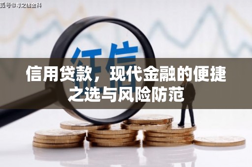 衡东信用贷款，现代金融的便捷之选与风险防范