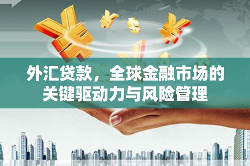 衡东外汇贷款，全球金融市场的关键驱动力与风险管理