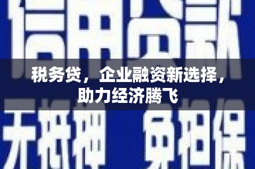 衡东税务贷，企业融资新选择，助力经济腾飞