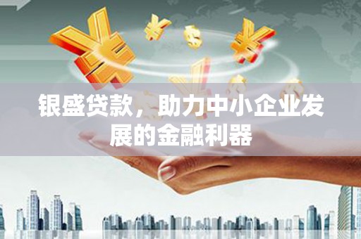 衡东银盛贷款，助力中小企业发展的金融利器