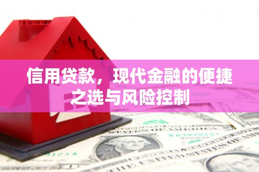 衡东信用贷款，现代金融的便捷之选与风险控制