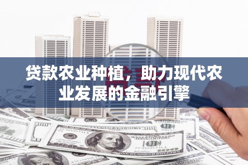 衡东贷款农业种植，助力现代农业发展的金融引擎