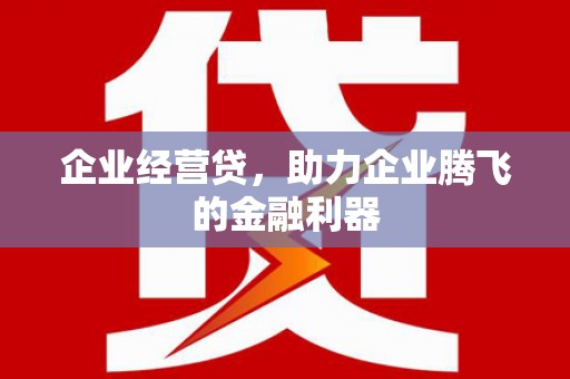 衡东企业经营贷，助力企业腾飞的金融利器