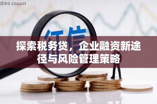 衡东探索税务贷，企业融资新途径与风险管理策略