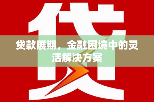 衡东贷款展期，金融困境中的灵活解决方案