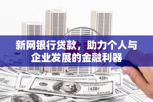 衡东新网银行贷款，助力个人与企业发展的金融利器