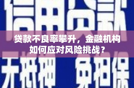 衡东贷款不良率攀升，金融机构如何应对风险挑战？