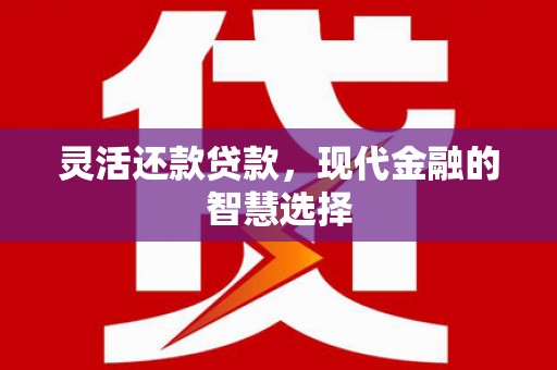衡东灵活还款贷款，现代金融的智慧选择