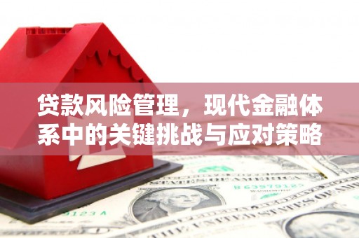 衡东贷款风险管理，现代金融体系中的关键挑战与应对策略